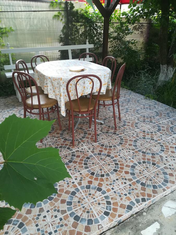 Hotel Casa Dalena à Costinesti Extérieur photo
